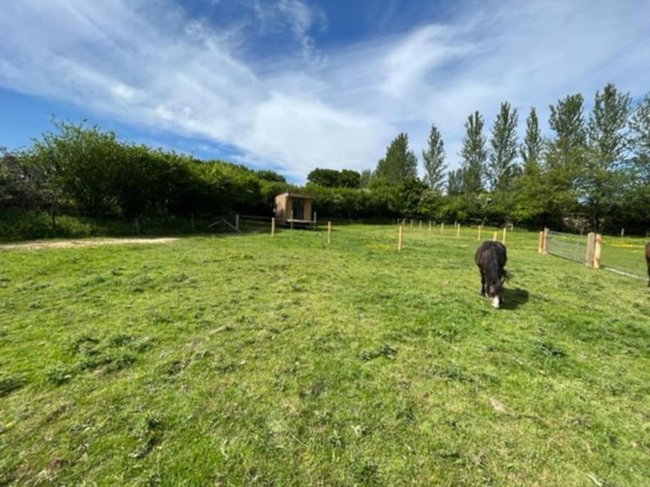 Neddys Rest Luxury Horsebox Stay Battle Eksteriør bilde